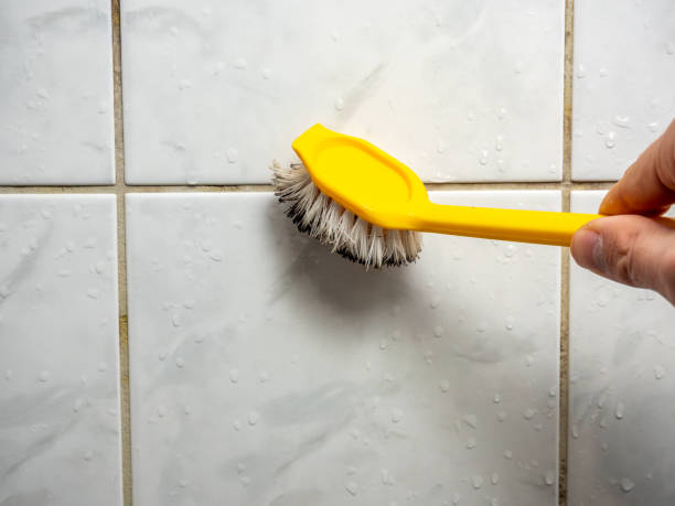 Best Mold Cleaning Services  in Fulton, IL