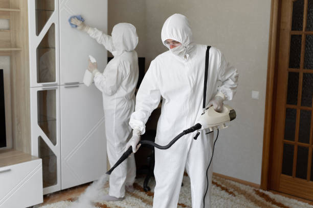 Best Commercial Mold Removal  in Fulton, IL