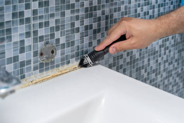 Best Mold Removal Near Me  in Fulton, IL